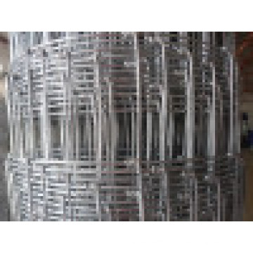 High Quality Hinge Joint Knot Field Fence in Good Price